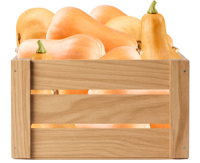 Wooden crate of organic hard squash