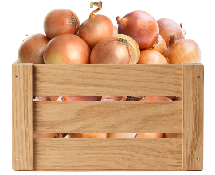 Wooden crate of organic onions
