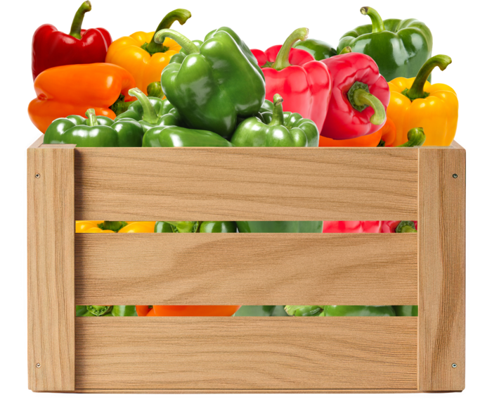 Wooden crate of organic peppers