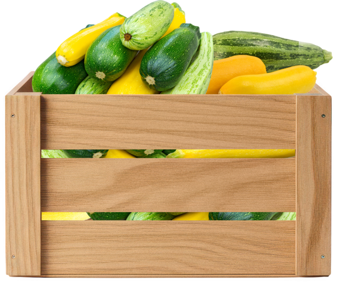 Wooden crate of organic summer squash