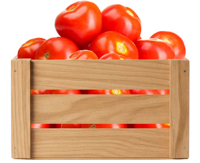 Wooden crate of organic tomatoes