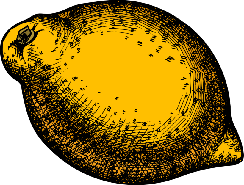 Organic lemon illustration