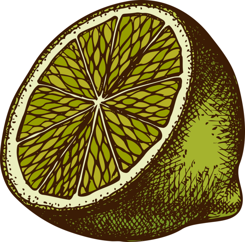 Organic lime illustration