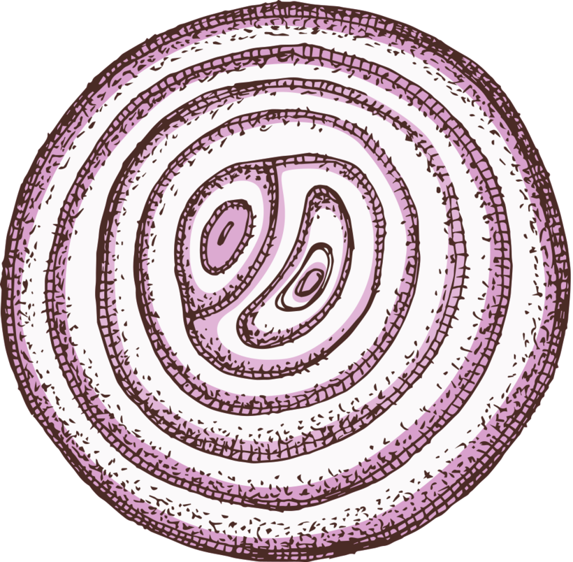 Organic purple onion illustration