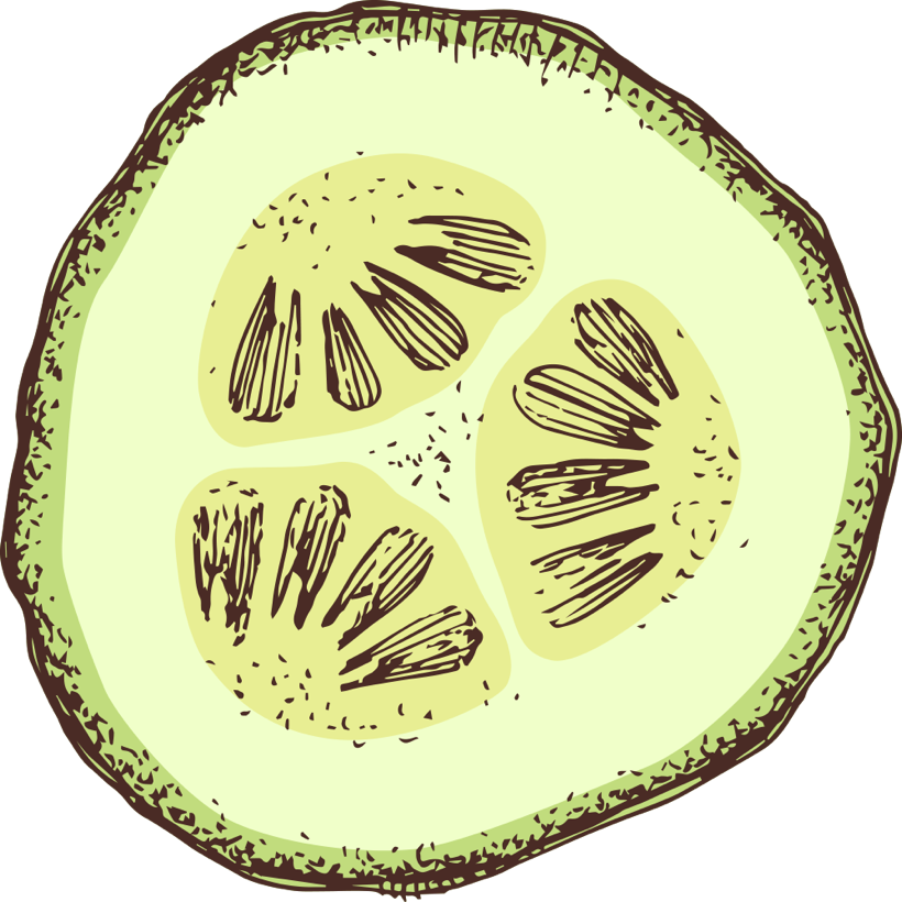 Cut cucumber slice illustration
