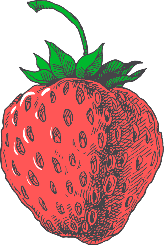 Organic strawberry illustration